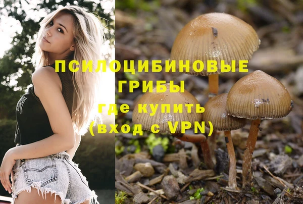 spice Алзамай